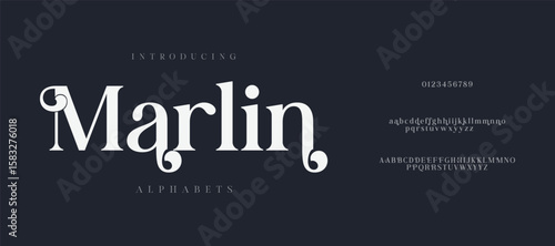 Marlin Classy elegant font, vintage type or luxury premium typeface, vector English royal alphabet.