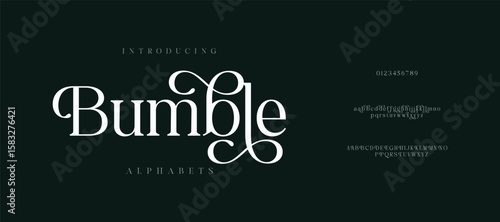 Classy elegant font, vintage type or luxury premium typeface, vector English royal alphabet. Classic typography in modern or old art deco style, serif letters for modern or retro poster font