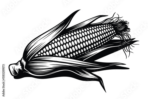 Monochrome Illustration of an Ear of Corn with Husk and Silk