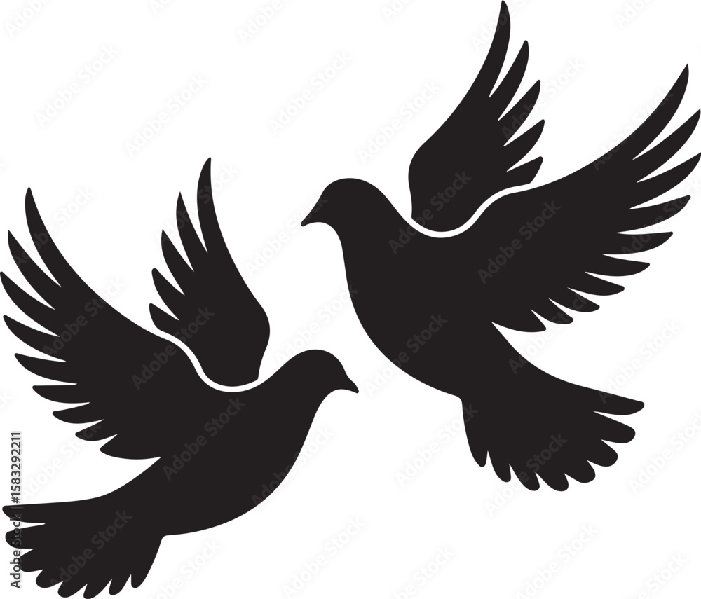 Fototapeta premium Two black doves flying together in a graceful silhouette against a white background
