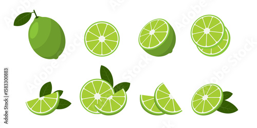 Fresh lime in whole, sliced, halved, and wedge forms with leaves, ideal for citrus, food, or summer-themed designs. Vibrant and minimal.