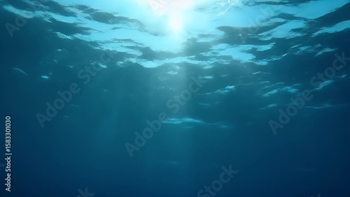 Wallpaper Mural Stunning underwater ocean view with shimmering sun rays piercing through the clear blue water surface creating a serene tranquil and beautiful deep sea atmosphe Torontodigital.ca
