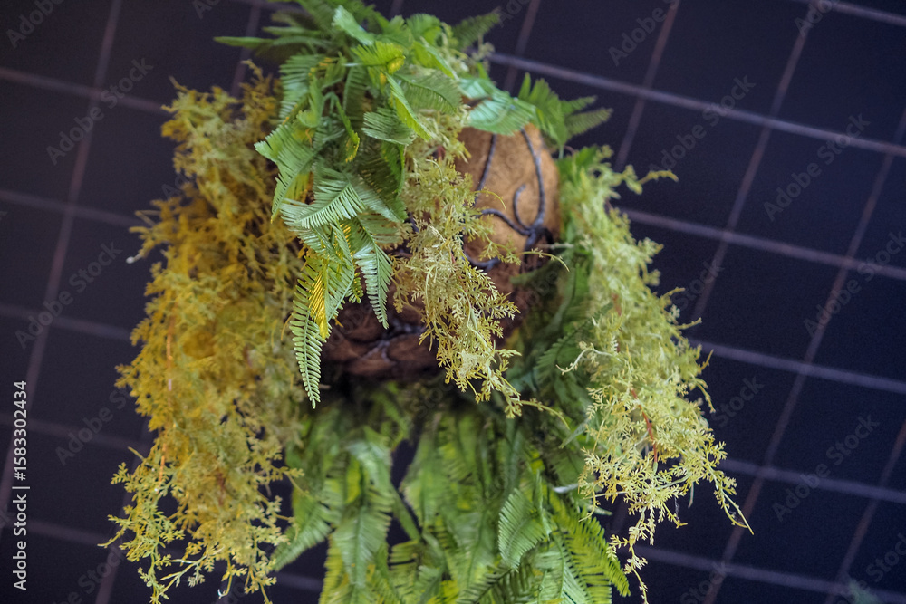 Fototapeta premium view from below of indoor hanging plants