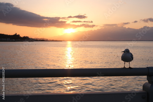 朝焼けの海と静かにたたずむカモメたち - 平穏な夜明け
