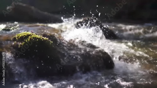 Wallpaper Mural Serene River Flowing Over Mossy Rocks: A Tranquil Nature Scene to Calming Backgrounds Torontodigital.ca