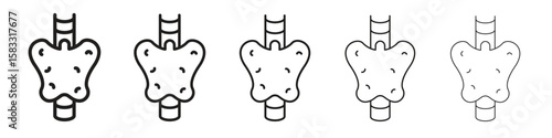 Thyroid icon vector Art line Illustrations collection