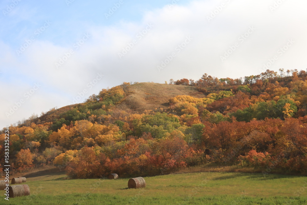 Fototapeta premium Autumn Scenery in Canora Saskatchewan Hills and Beaches.