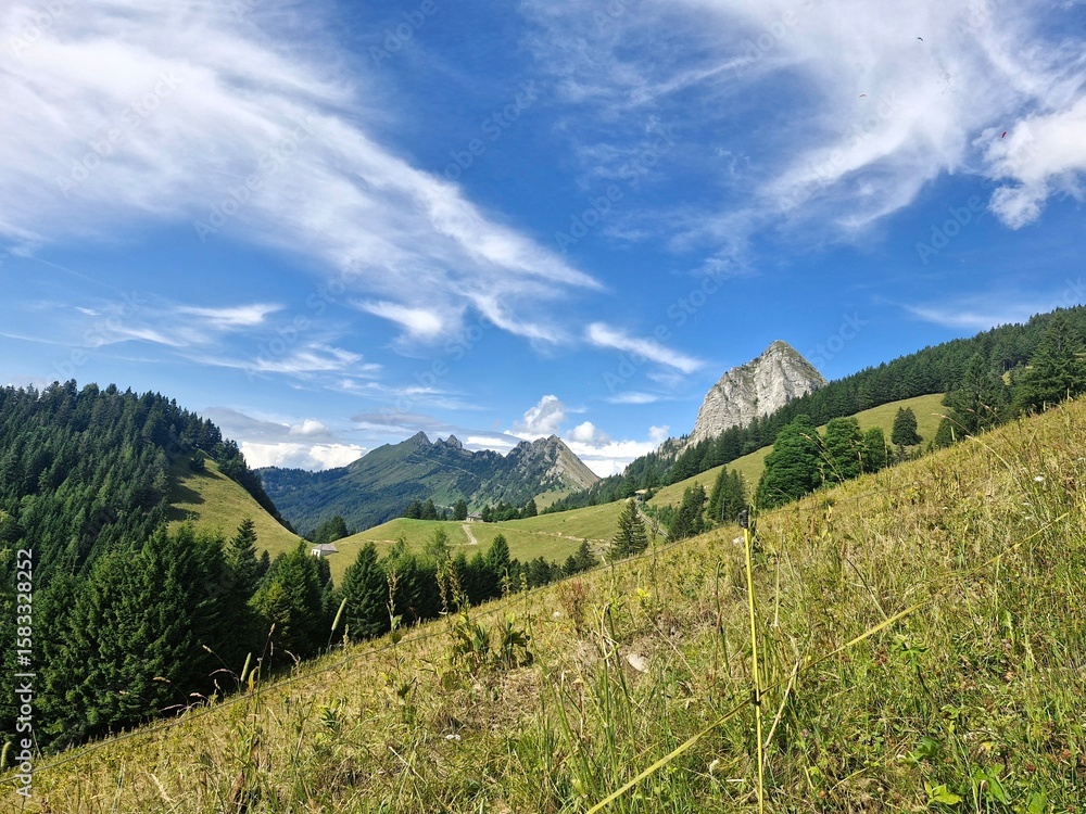 Naklejka premium mountain landscape in the summer