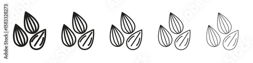 Almond icon vector Art line Illustrations collection