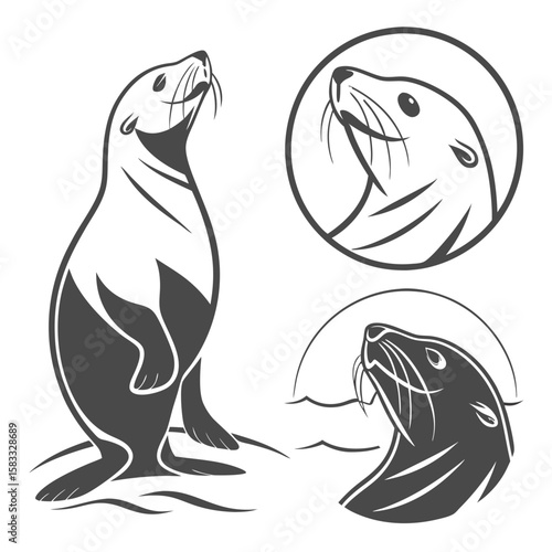 Stylized seals in dark grey and white sea lion animal