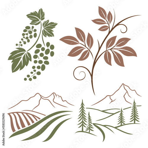 Vineyard and mountain landscape with foliage grapes