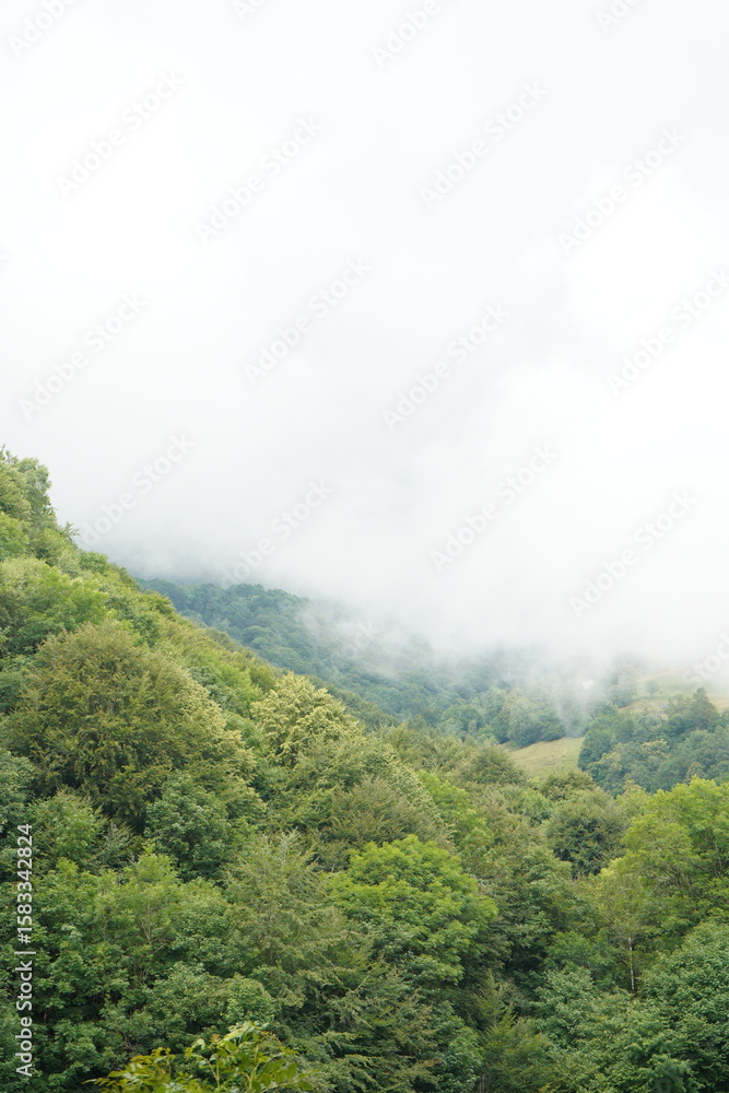 Fototapeta premium clouds over the mountain