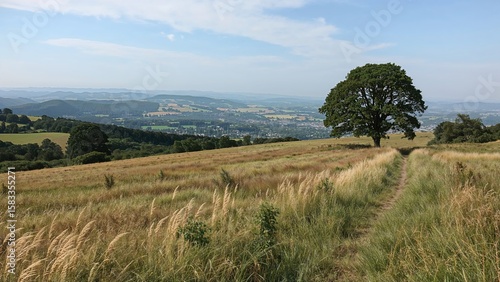 Broad panorama of rural landscapes from the descending hiking path in a central region