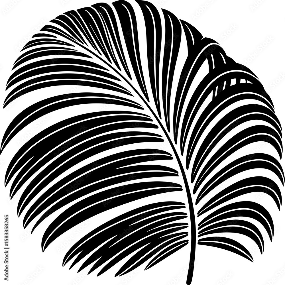 Fototapeta premium Vector art of a tropical palm leaf is isolated on white background