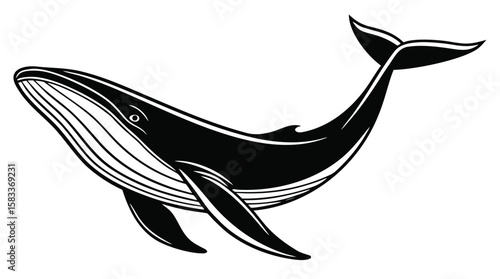 Silhouette of a Swimming Whale – Vector Illustration