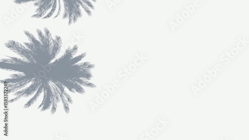 Wallpaper Mural Subtle tree shadows swaying on a bright wall background. Torontodigital.ca