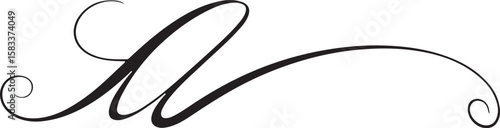 Elegant black calligraphic flourish with swirling curves and curls isolated on transparent background