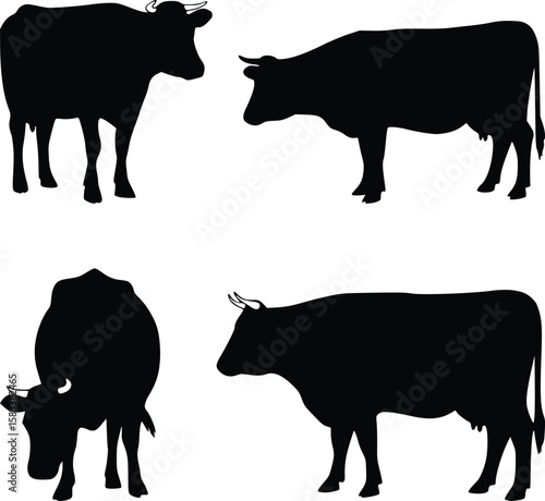 Silhouette of four cows in different grazing positions, reflecting pastoral life and rural nature