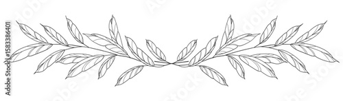 Sketch Floral Botany Collection. flower drawings. Black and white with line art on white backgrounds. Hand Drawn Botanical Illustrations.Vector.