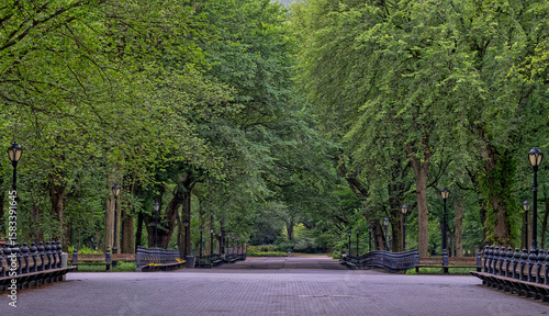 Central Park the Mall