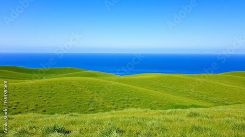 Green field and blue sky and sea