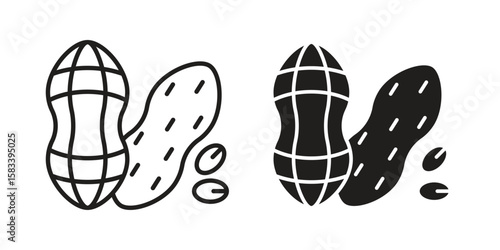 Peanut icon vector illustration. Flat design. Graphic design vector symbols.