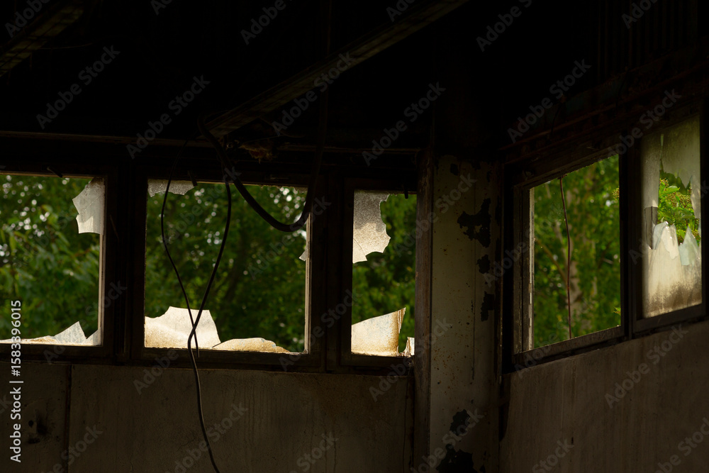 Obraz premium A spacious room that features numerous windows, allowing natural light to flood in, with trees beautifully situated behind them, creating a serene atmosphere