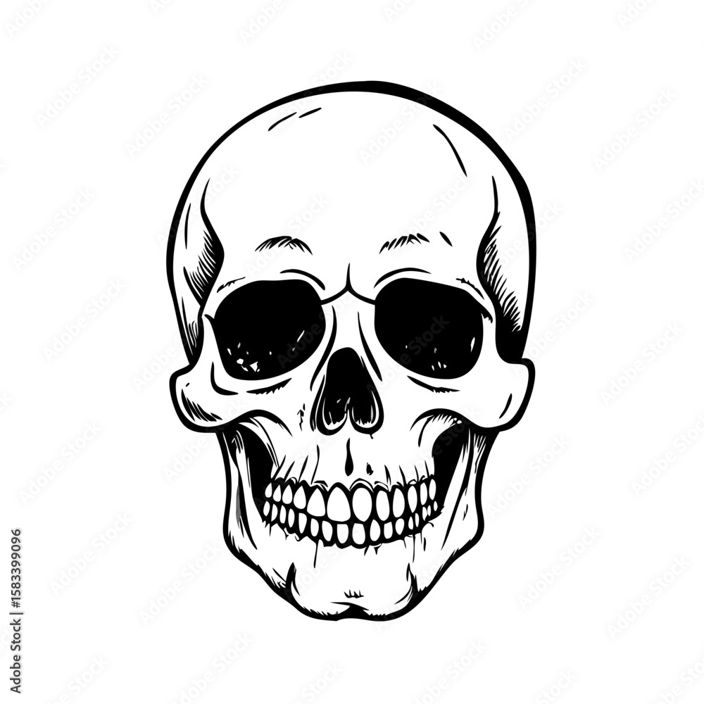 Fototapeta premium Vintage Human Skull Vector On White Background