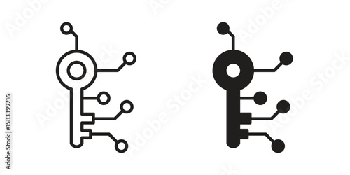 Digital key icon vector illustration. Flat design. Graphic design vector symbols.