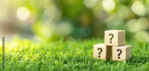 The wooden blocks with question marks representing curiosity and exploration of ideas.