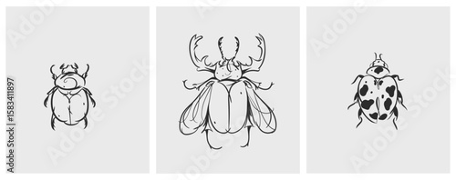 Hand drawn abstract vector graphic illustration collection set with cute, stylized insect bugs sketch.Trendy modern wild nature design concept sketch.Vector line bugs symbol. animal icons