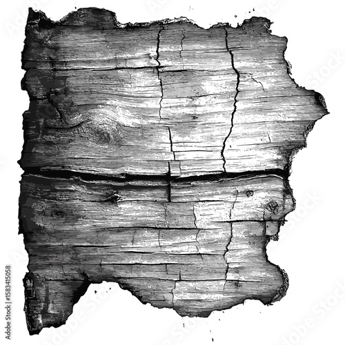 Engraved burnt wood texture, antique surface detail, vintage scorched pattern, trendy rustic texture illustration, retro etching, hand-drawn charred grain sketch, vector illustration.