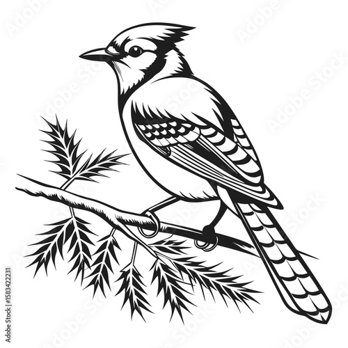 Elegant Monochrome Blue Jay Perched Gracefully on a Branch with Intricate Feather and Foliage Detail