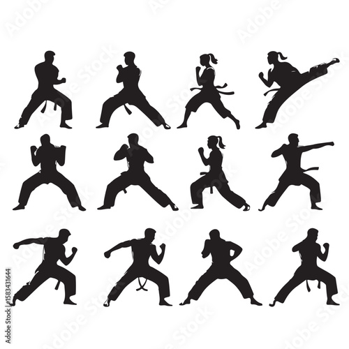 Martial Arts Silhouette Poses – Dynamic Combat Technique Illustrations