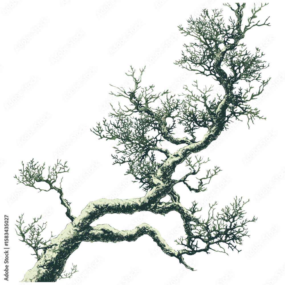 custom made wallpaper toronto digitalHand-drawn forest detail, engraved moss texture, botanical etching sketch, vintage organic surface, trendy green pattern, antique foliage style, vector illustration, rustic nature art.