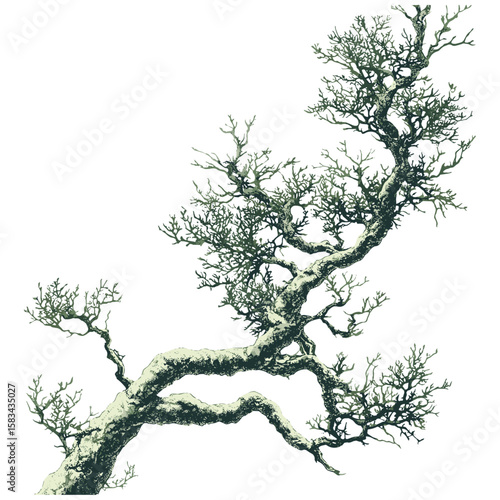 Wallpaper Mural Hand-drawn forest detail, engraved moss texture, botanical etching sketch, vintage organic surface, trendy green pattern, antique foliage style, vector illustration, rustic nature art. Torontodigital.ca