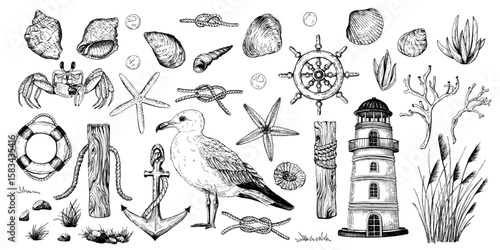 A set of black and white vector illustrations. A variety of hand drawn marine elements including seashells, starfish, a seagull, lighthouse, anchor, ropes, coral, ship wheel, grass, rocks, plants.