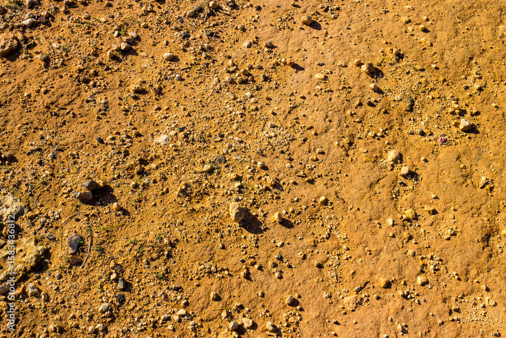 Fototapeta premium Desert ground as a natural background.