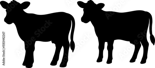 Cow calf vector art, cow art, different animals vector art design, Vector of animals art, black baby cow calf isolated