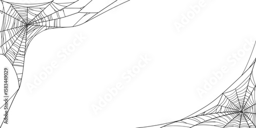Halloween Cobweb frame border, spider web Vector Isolated on Transparent Background. Vector eps