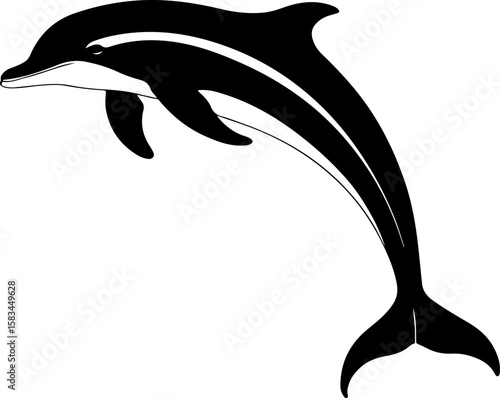 Graceful black and white dolphin leaping silhouette with unique striped markings, perfect for marine life designs, ocean themes, and aquatic art, symbolizing freedom and intelligence.