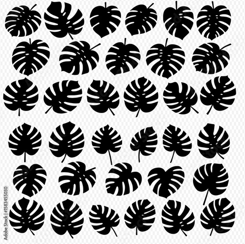A collection of stylized Monstera leaf silhouettes arranged in a grid pattern against a white background.