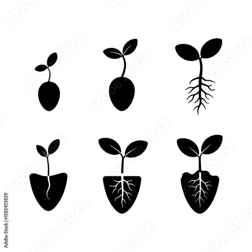 Seedling Growth Stages: A set of six vector icons illustrating the various stages of seedling growth, from seed germination to the development of roots and leaves.