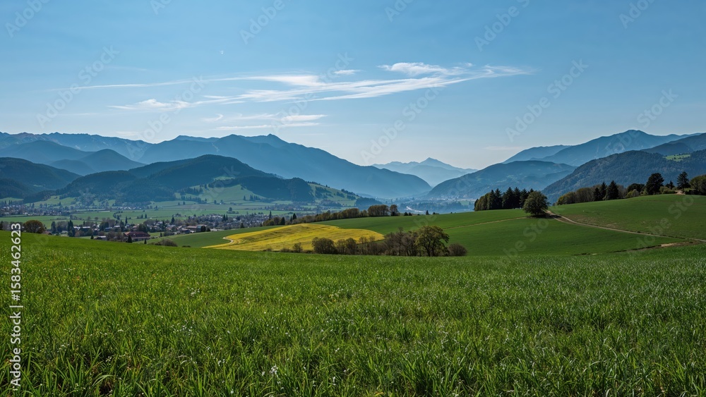 Obraz premium Farming region landscape