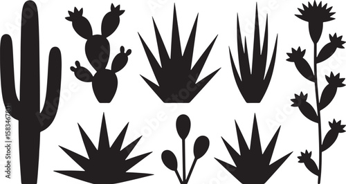 Black desert plants and cacti silhouettes cactus succulent