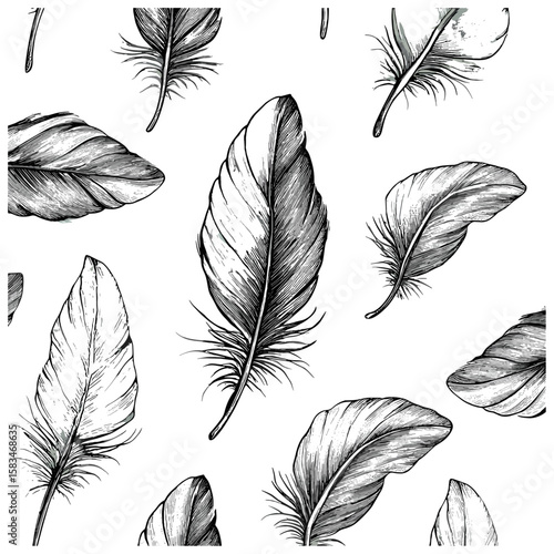 Hand-drawn plume pattern, engraved art, vintage feather detail texture, antique line art texture, trendy surface illustration background, bird sketch vector illustration.