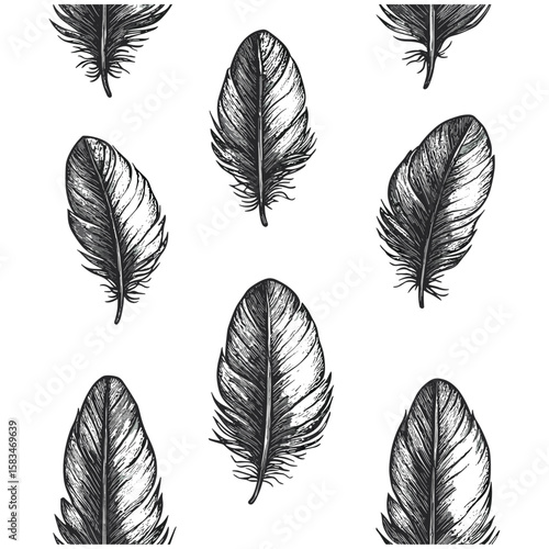 Hand-drawn quill pattern sketch, vintage feather engraving, antique surface texture, retro etched design, engraved art, elegant bird feather decor, vector illustration.