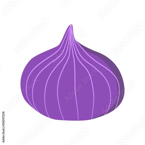 Fresh onion isolated on white background.
