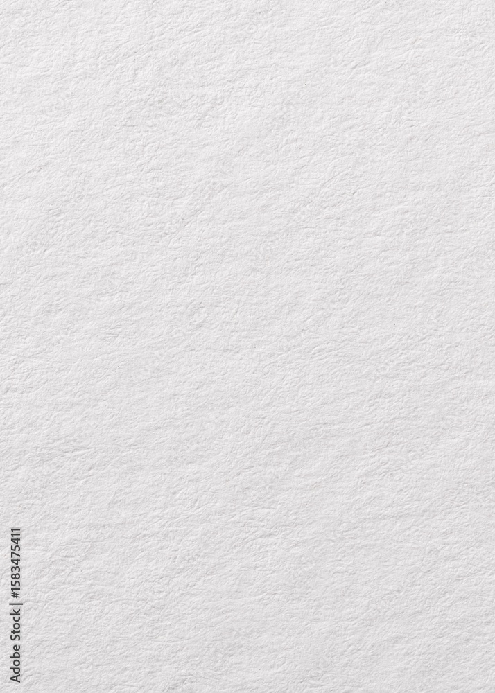 Fototapeta premium White paper textured background