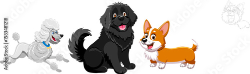 dogs newfoundland poodle terrier
